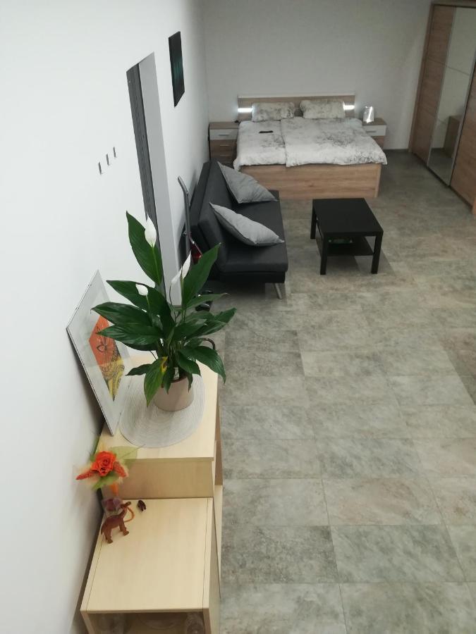 Place Near Casino Mond - Apartma Urska سينتيلي المظهر الخارجي الصورة